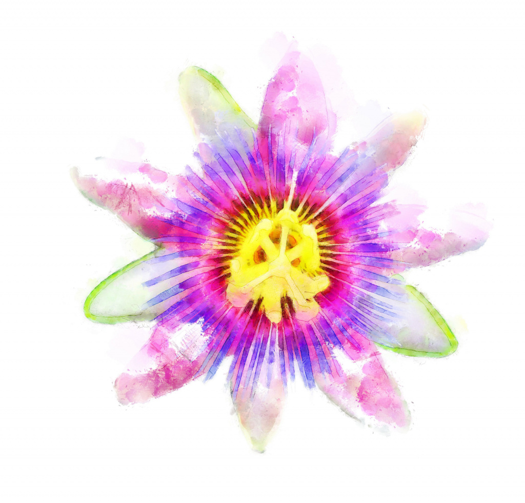 Flower_1_DAP_Watercolor.jpg